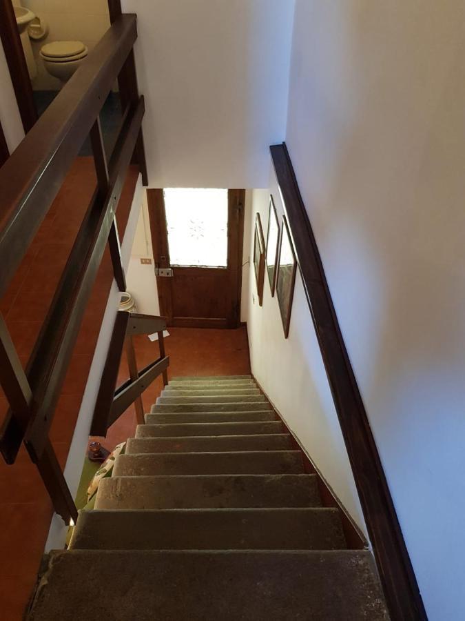 Apartament In Castello Castagneto Carducci Zewnętrze zdjęcie